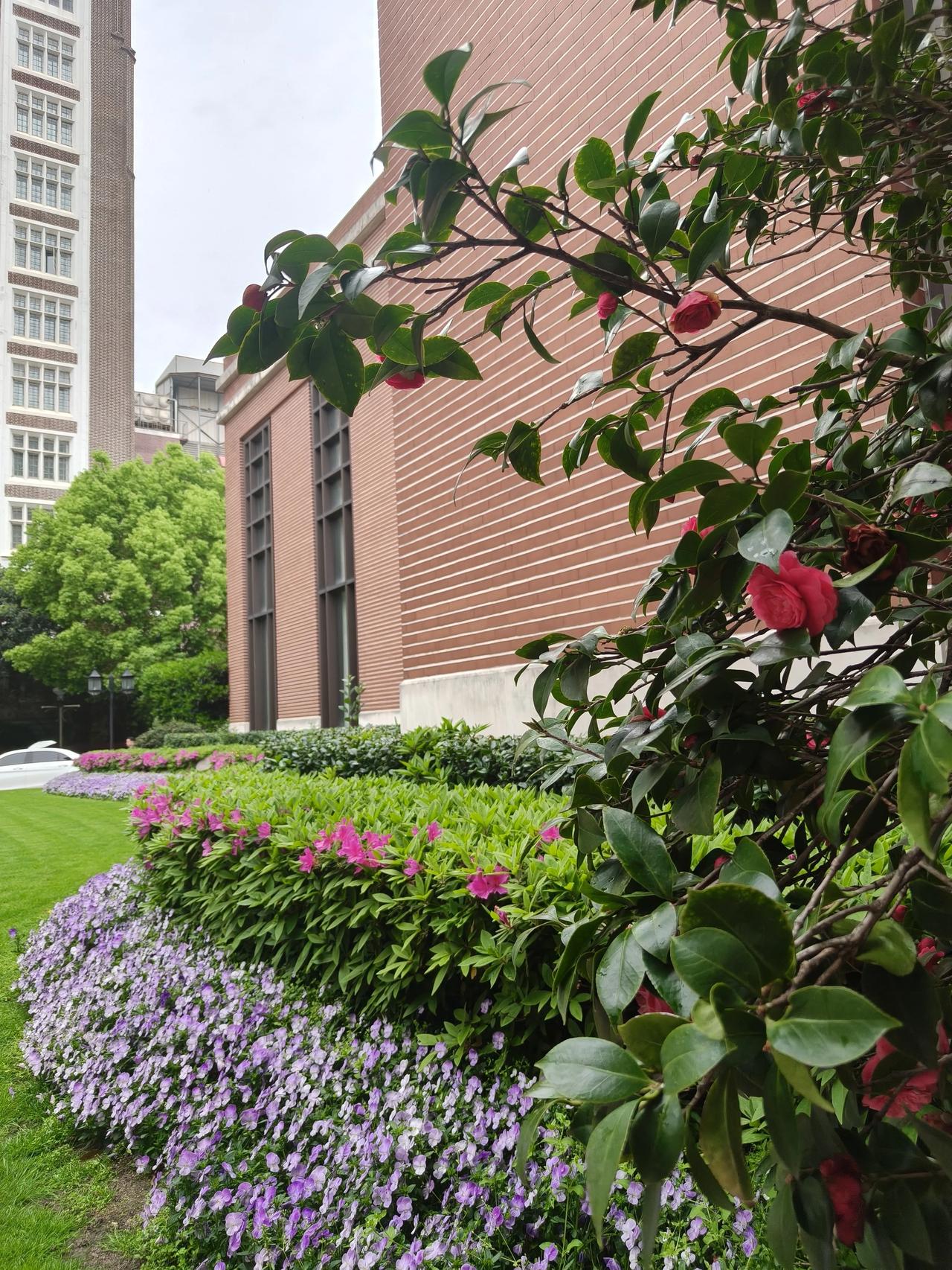 雨，淅淅沥沥。听着雨声，入了梦乡，江南的梦是湿润的，清甜的。

醒来，雨不知何时