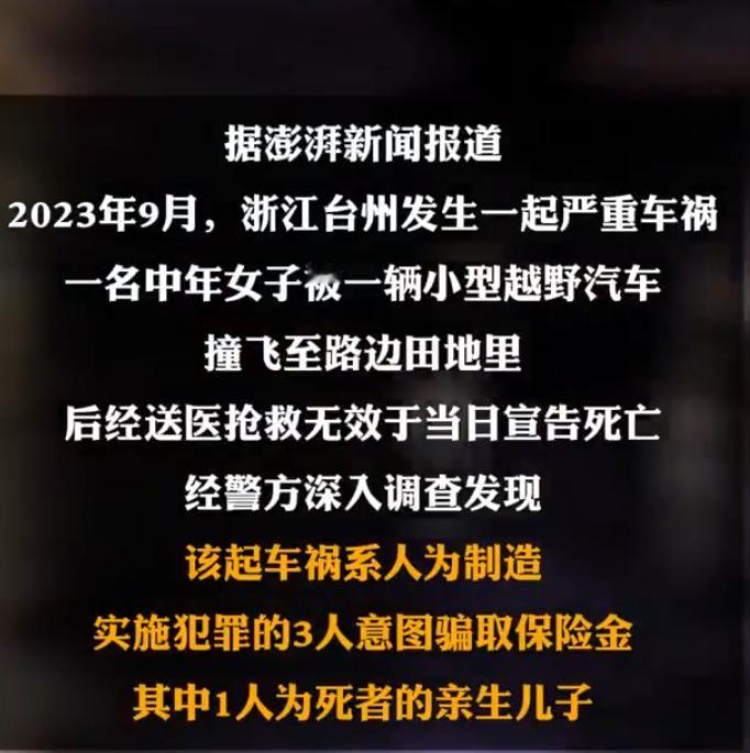 男子伙同二人驾车撞死母亲骗保  弑母骗保，为了钱，真是一点人性都没了！好在法律是