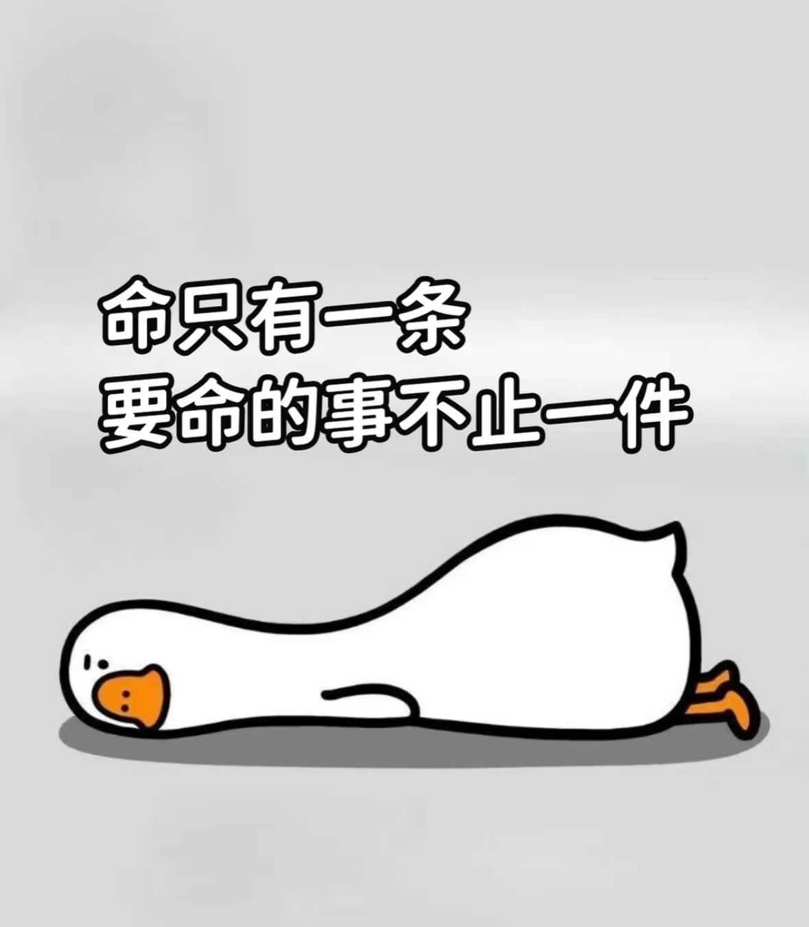 我从不吝啬自己的付出，但需要都是值得的。 