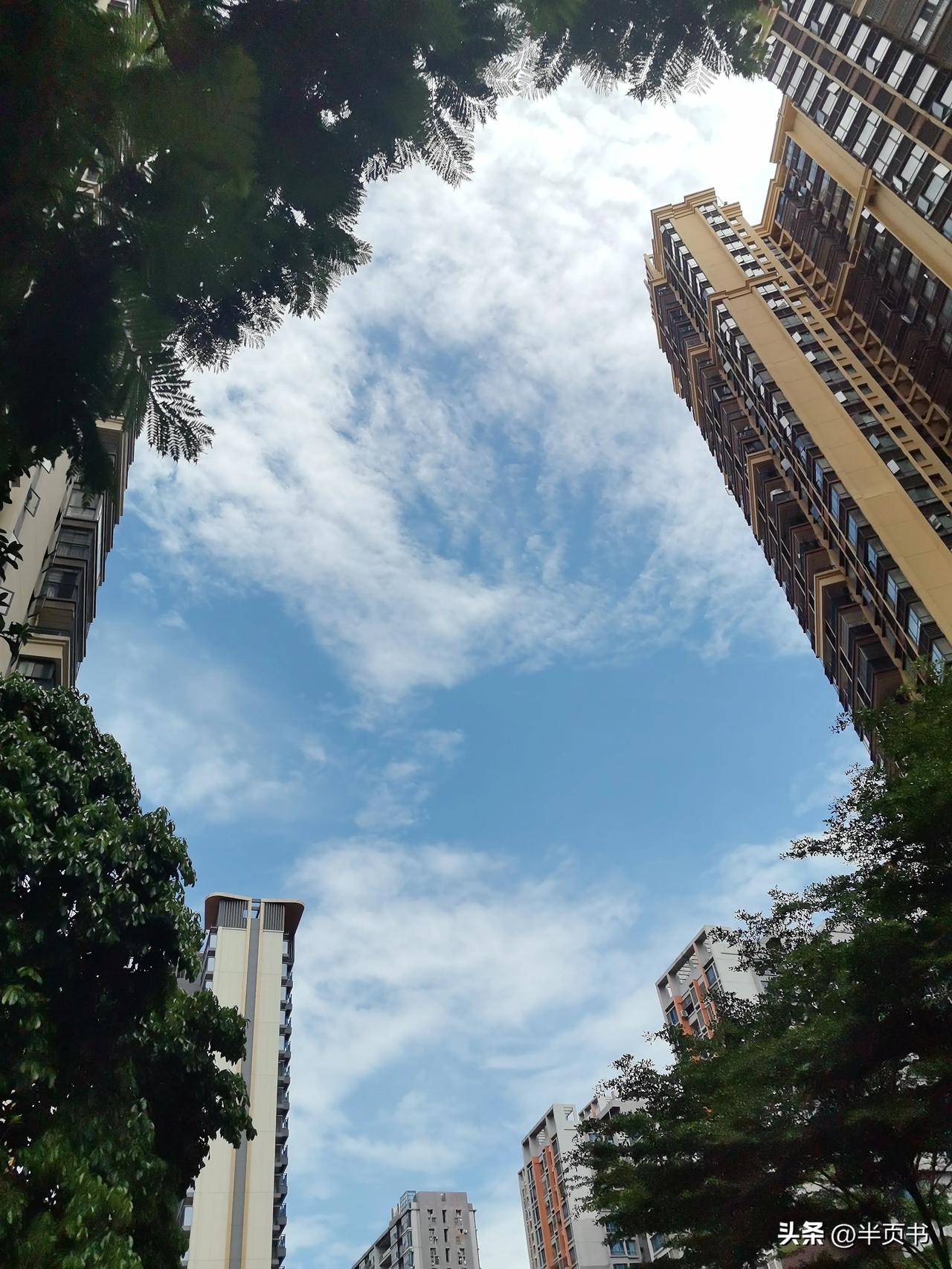 明明是艳阳晴天，居然下着雨[捂脸]

出门拿个东西，回来路上被小水滴滴到了，我还