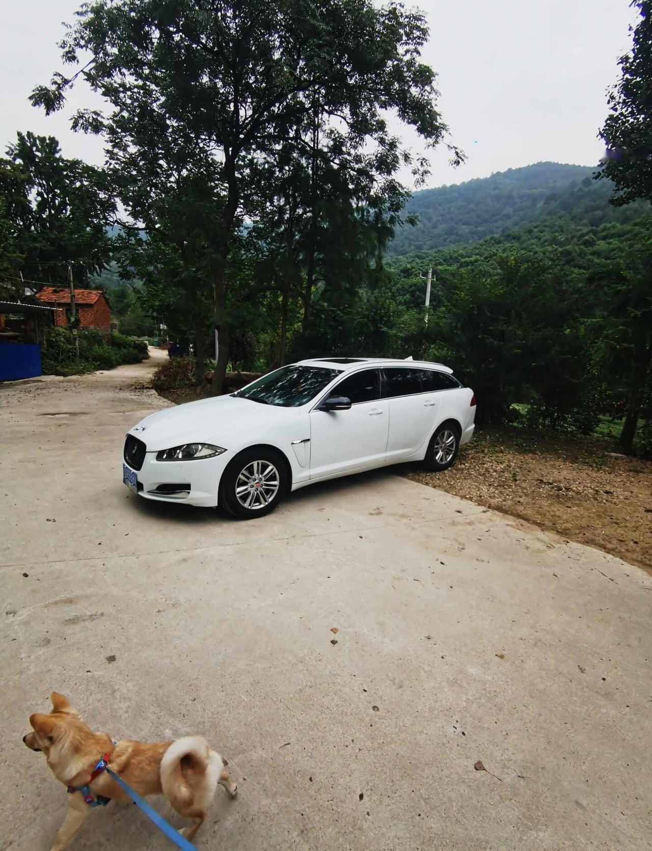 15年捷豹XFsportbrake，英国之宝，闲置转让
瓦罐车在路上 骑车去跑山