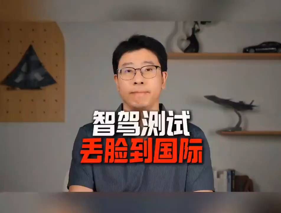 智驾海外翻车？老师傅一语道破