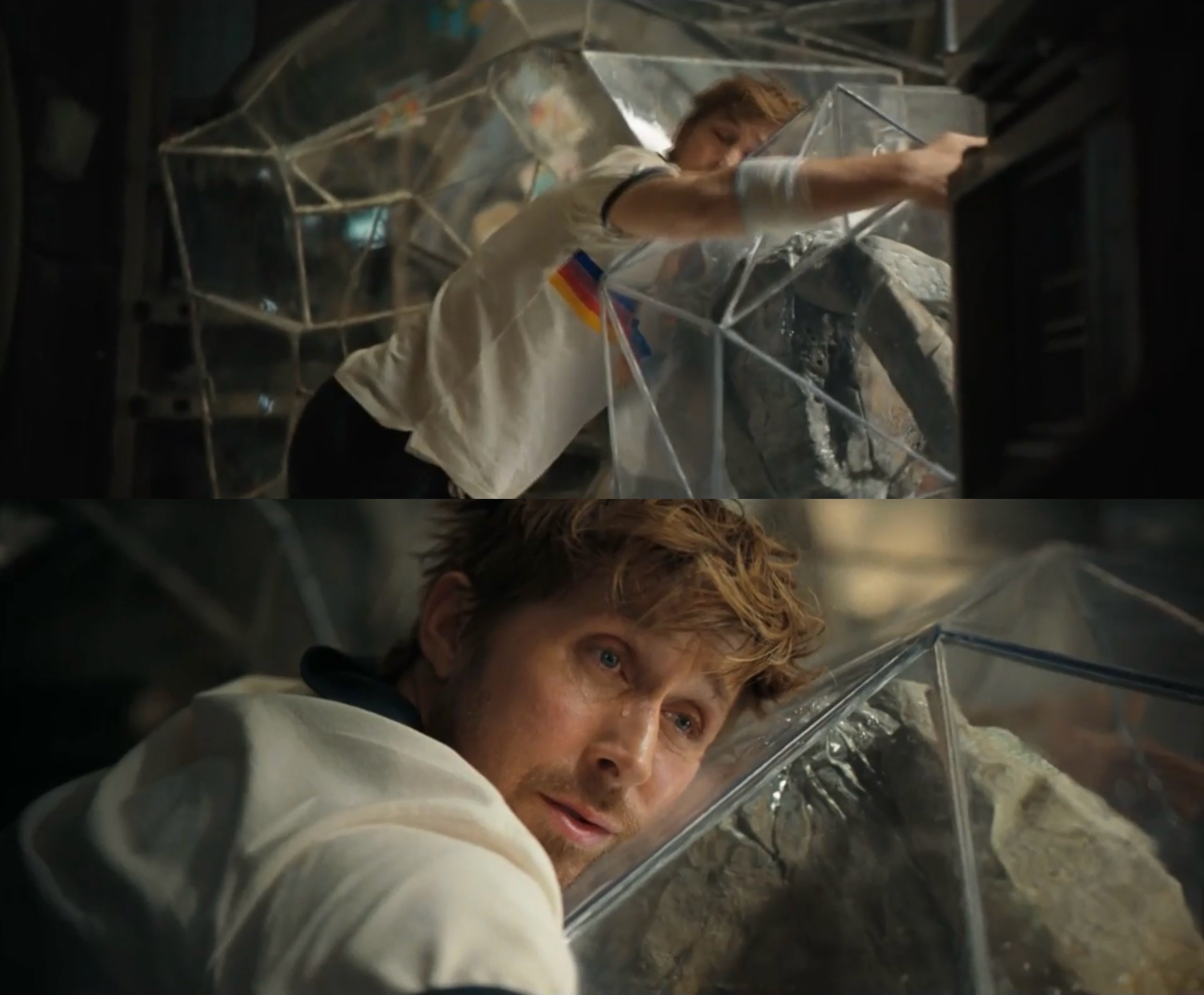 不论是《挽救计划》，还是《河狸变身计划》，很凑巧都是在构建一种跨越物种却足够理想