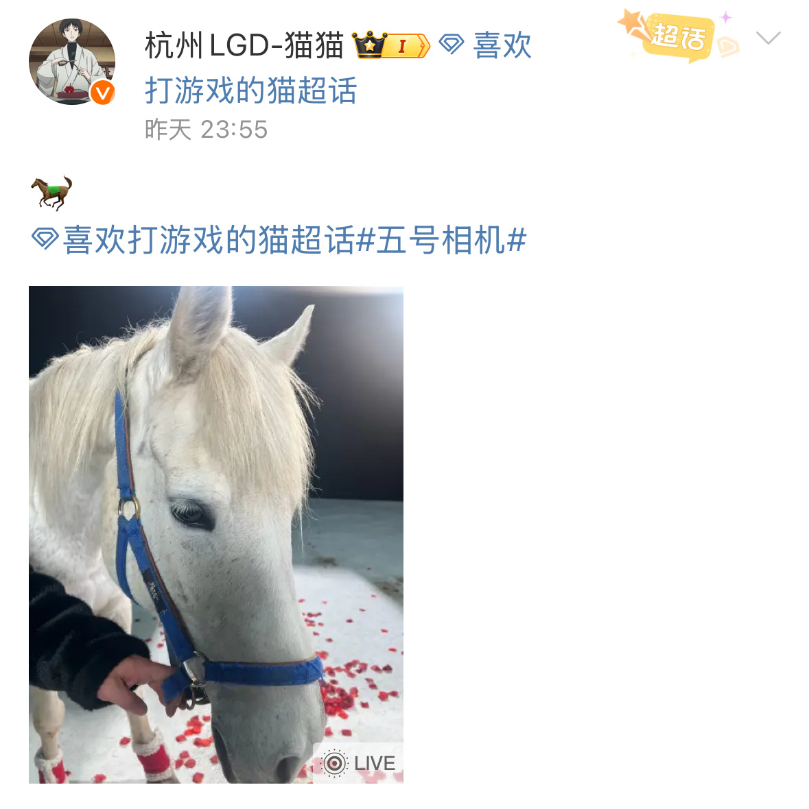 喜欢打游戏的猫  何意为？这一集是白马王子吗？2026pel2026pel春季赛