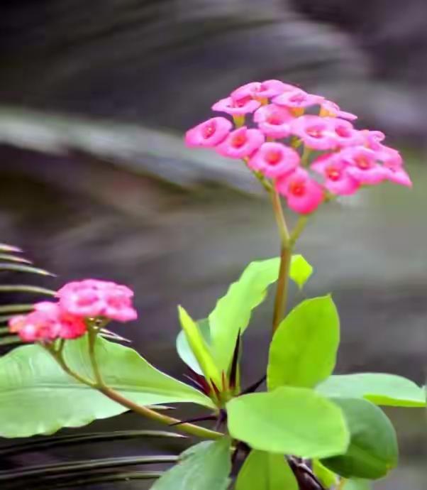 感情中的有效沟通有多重要

上周五加班到11点，身心俱疲推开家门，却听见老公在书