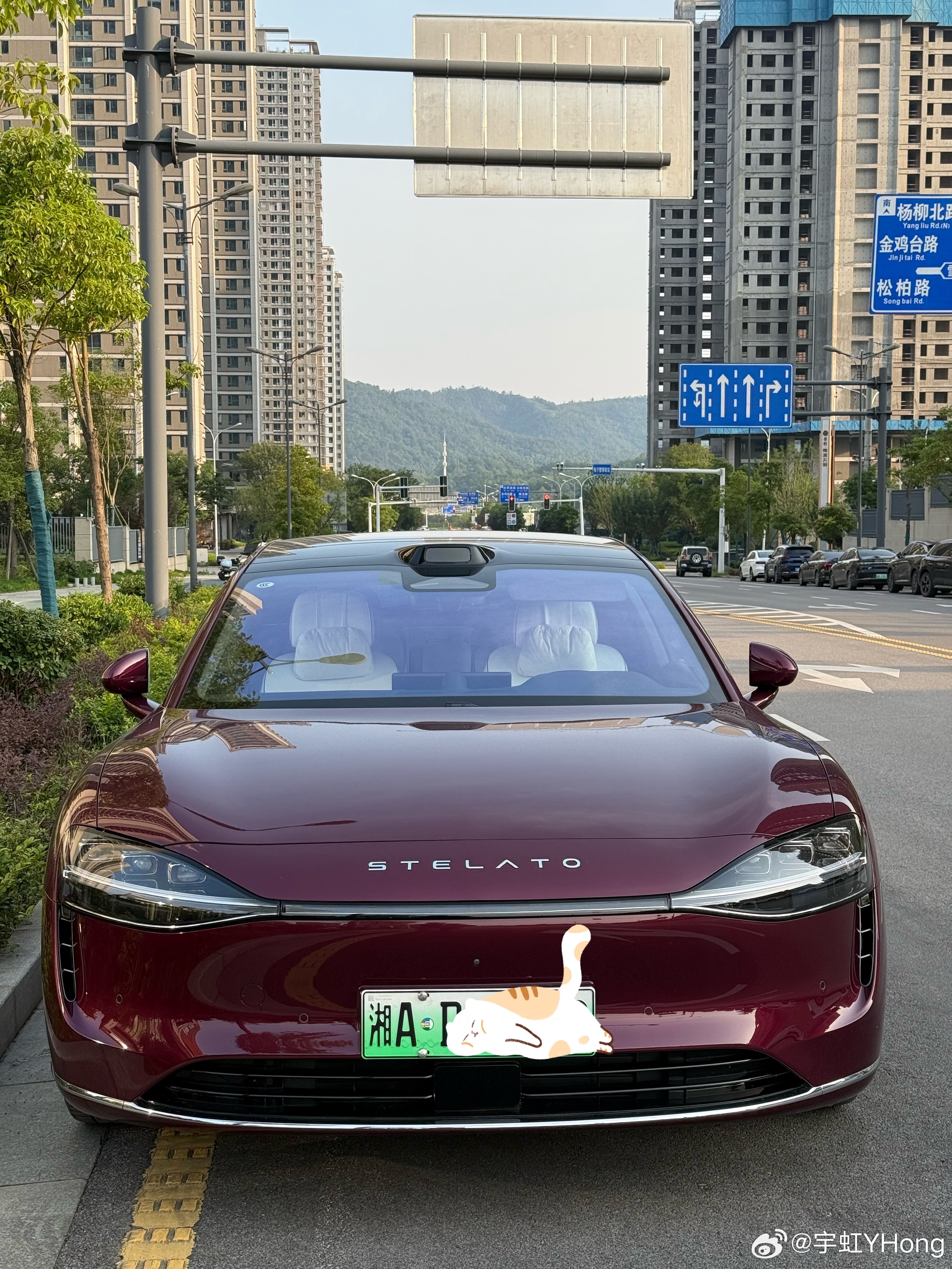 这个就是我的婚车头车了大家说这个气质没问题吧[酷] ​​​