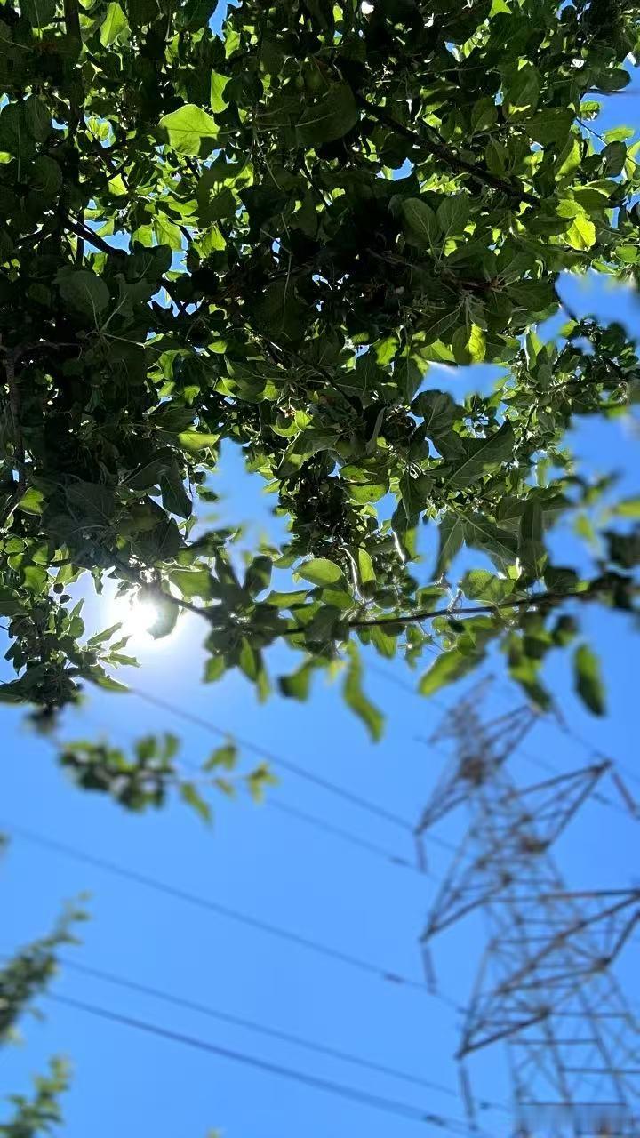 夏天 