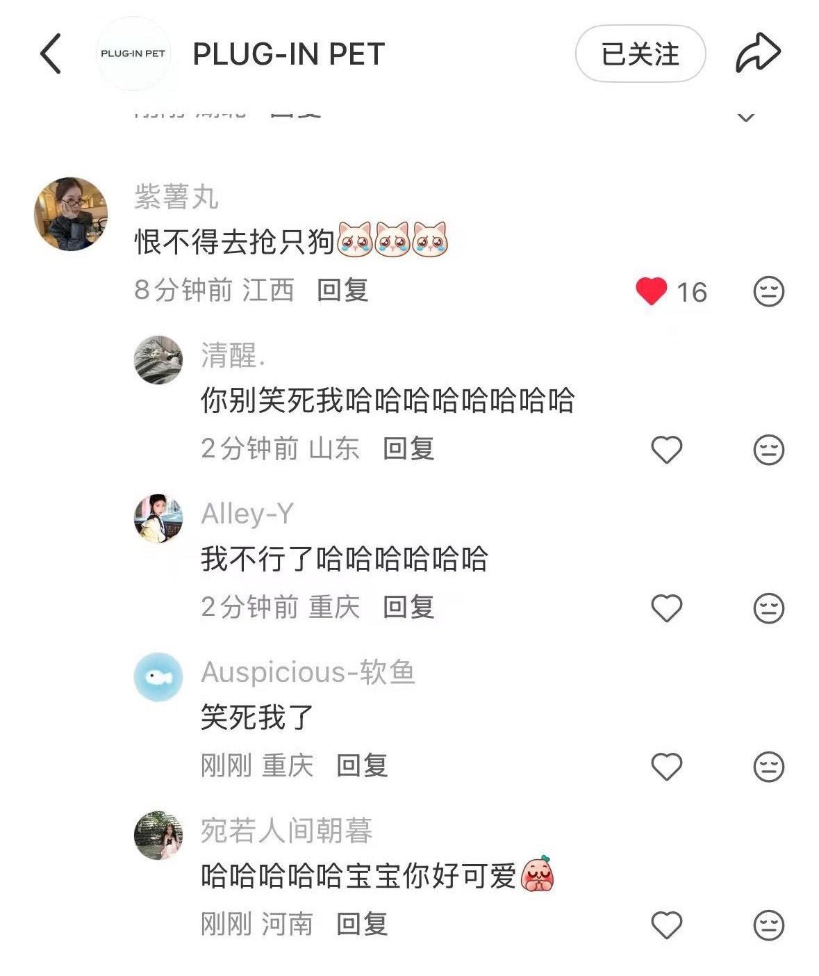 PLUGINPET品牌全球代言人虞书欣 鱼丝就这样萌 我支持领养代替购买 给更多