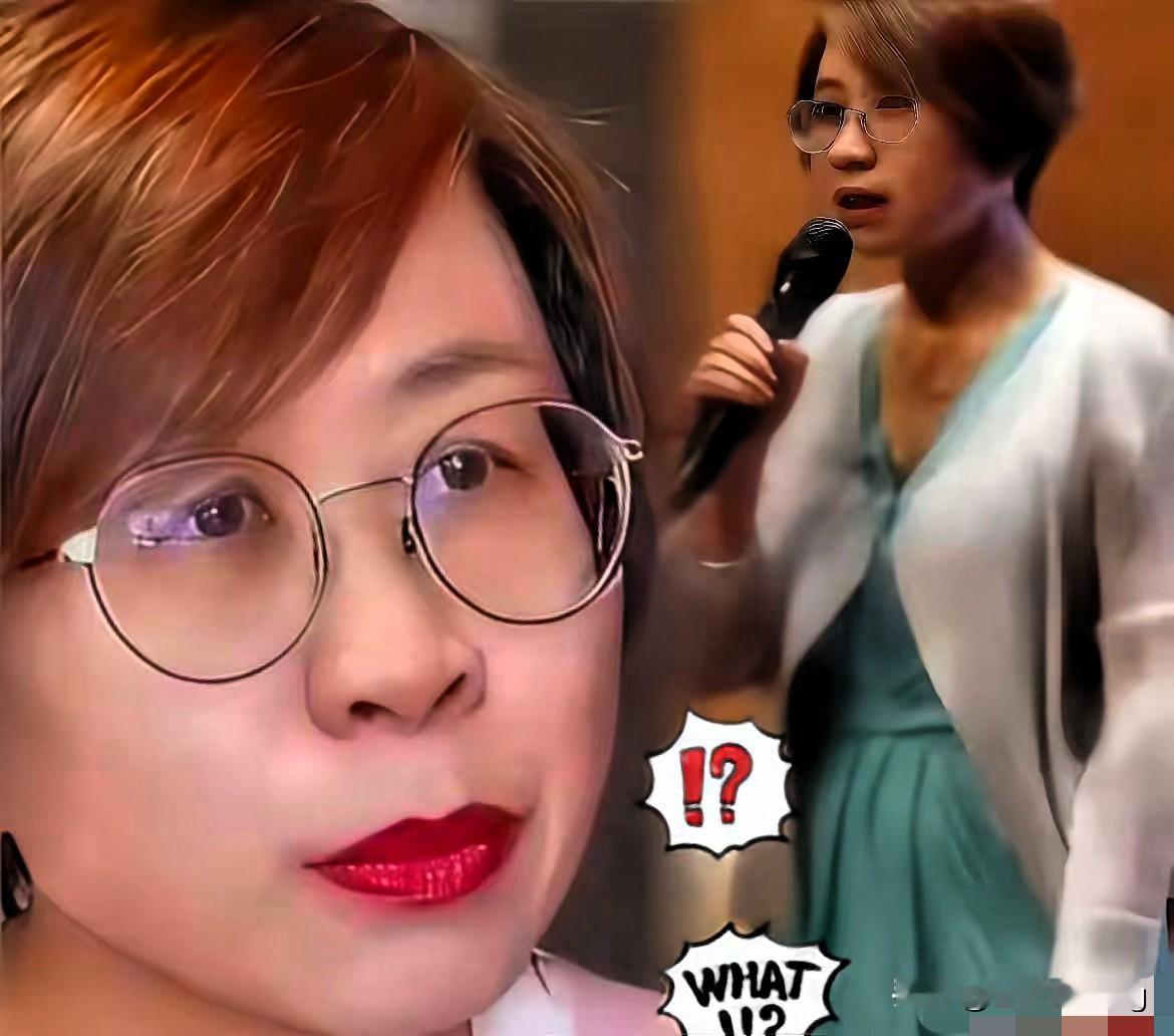 赵宏这辩论“套路”也太离谱了！根本不是摆事实讲道理，纯属撒泼打滚式胡搅蛮缠，看着