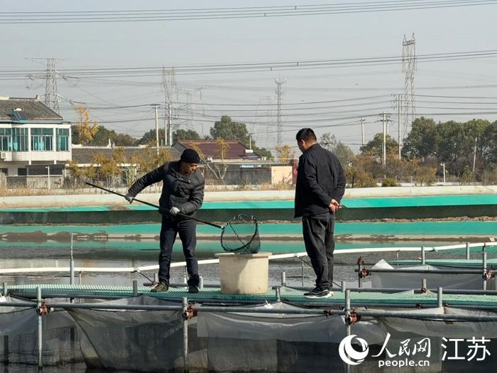 泰兴邮储金融“活水”润蟹塘