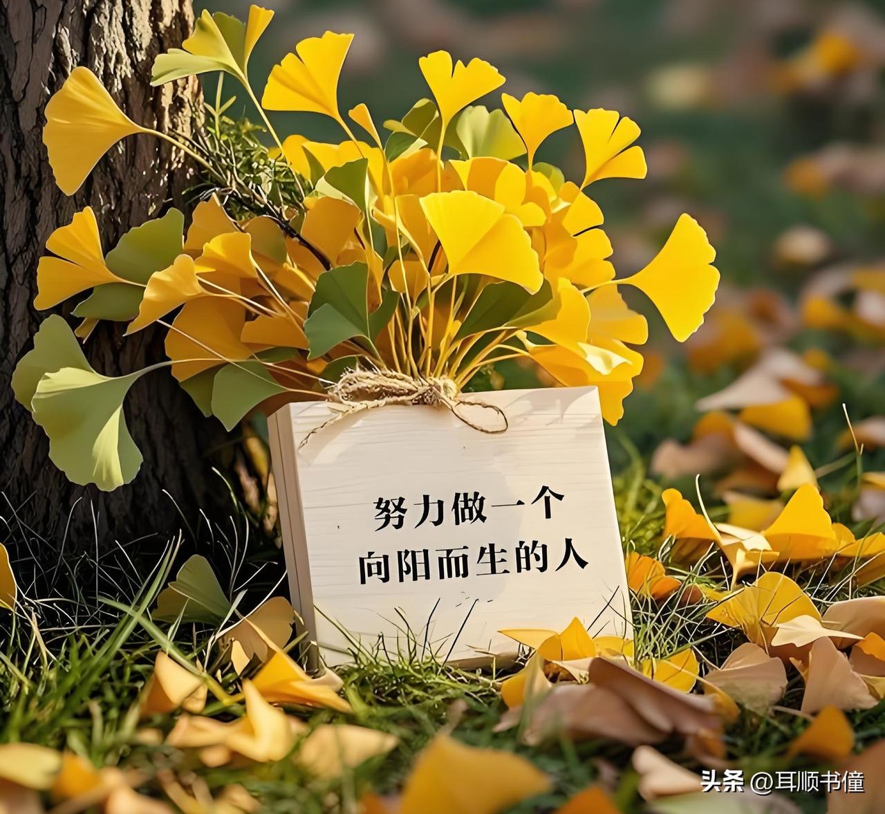 六十多岁的我们，最难的不是身上的辛苦，而是和晚辈之间观念不一样。
我们这一辈，习