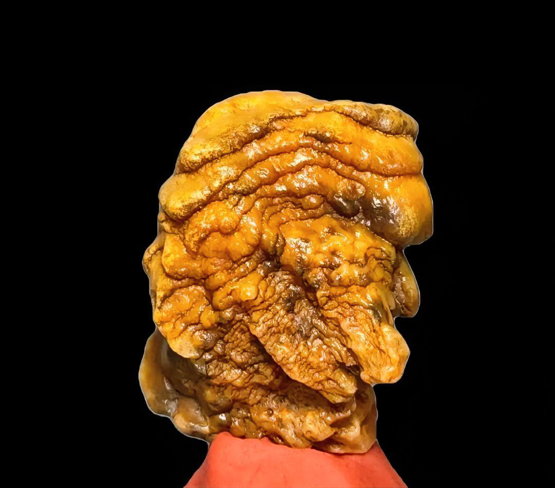 罗汉纹沙漠漆