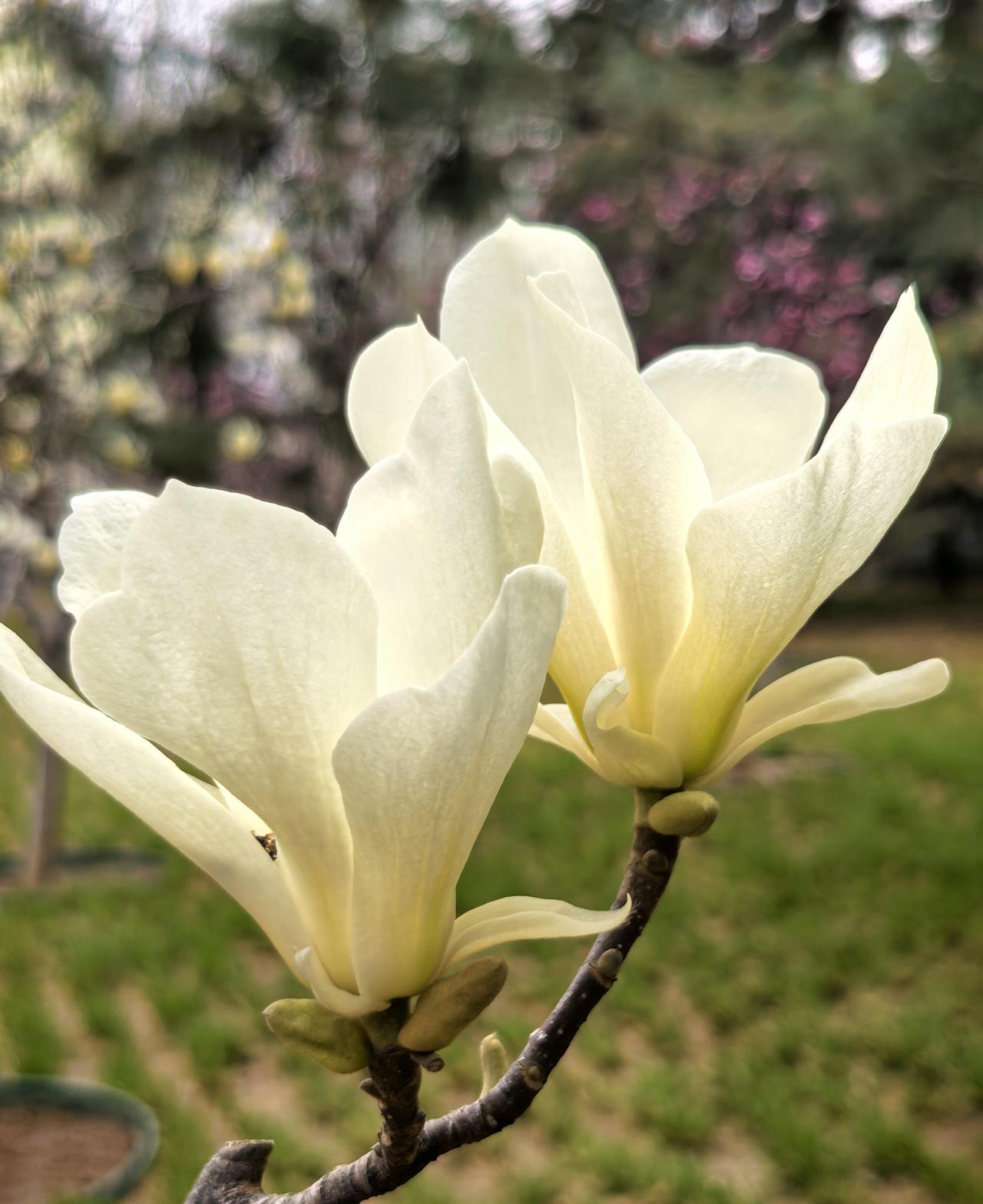 No matter how good everything else is, n