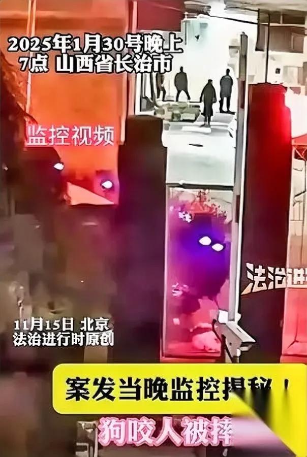 狗咬人事件谁最清醒？

申家姐姐藏着关键操作！

长治狗咬人事件里，申倩的处理堪