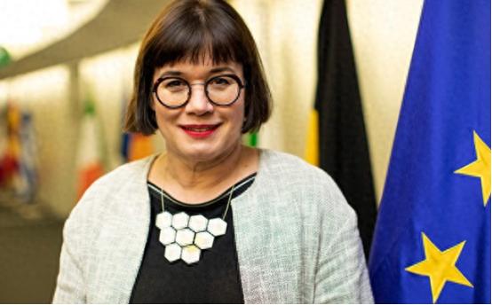 赶紧来吃大瓜，欧盟管贸易的最大官在4月28日决定辞职，原因特实在，就是看不惯欧盟