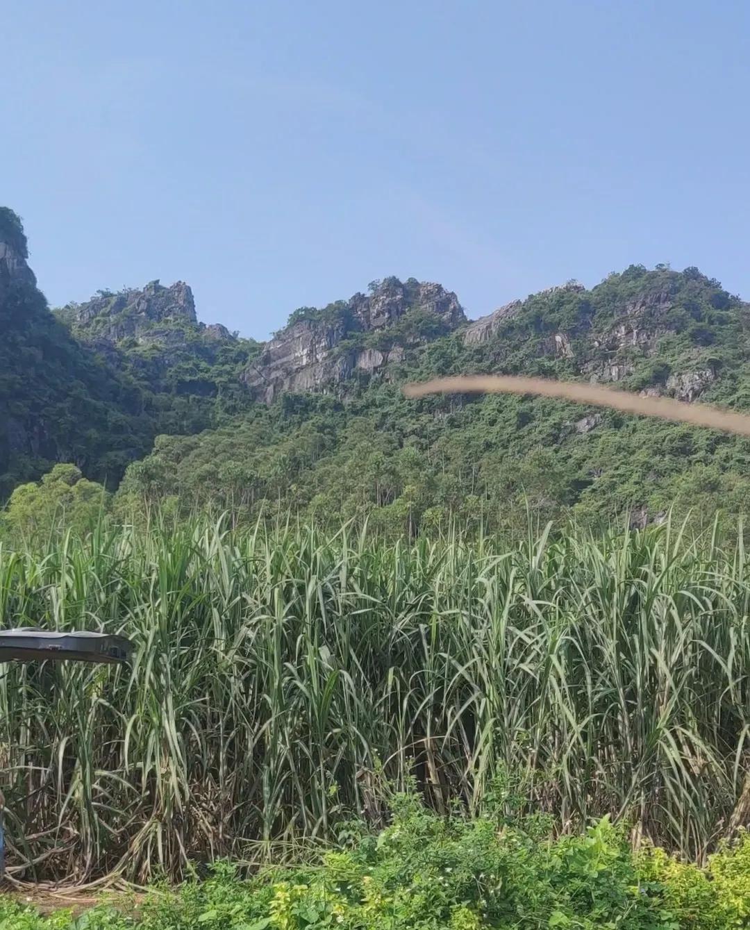 贵港五脑芙蓉帐，后靠很猛像个椅子