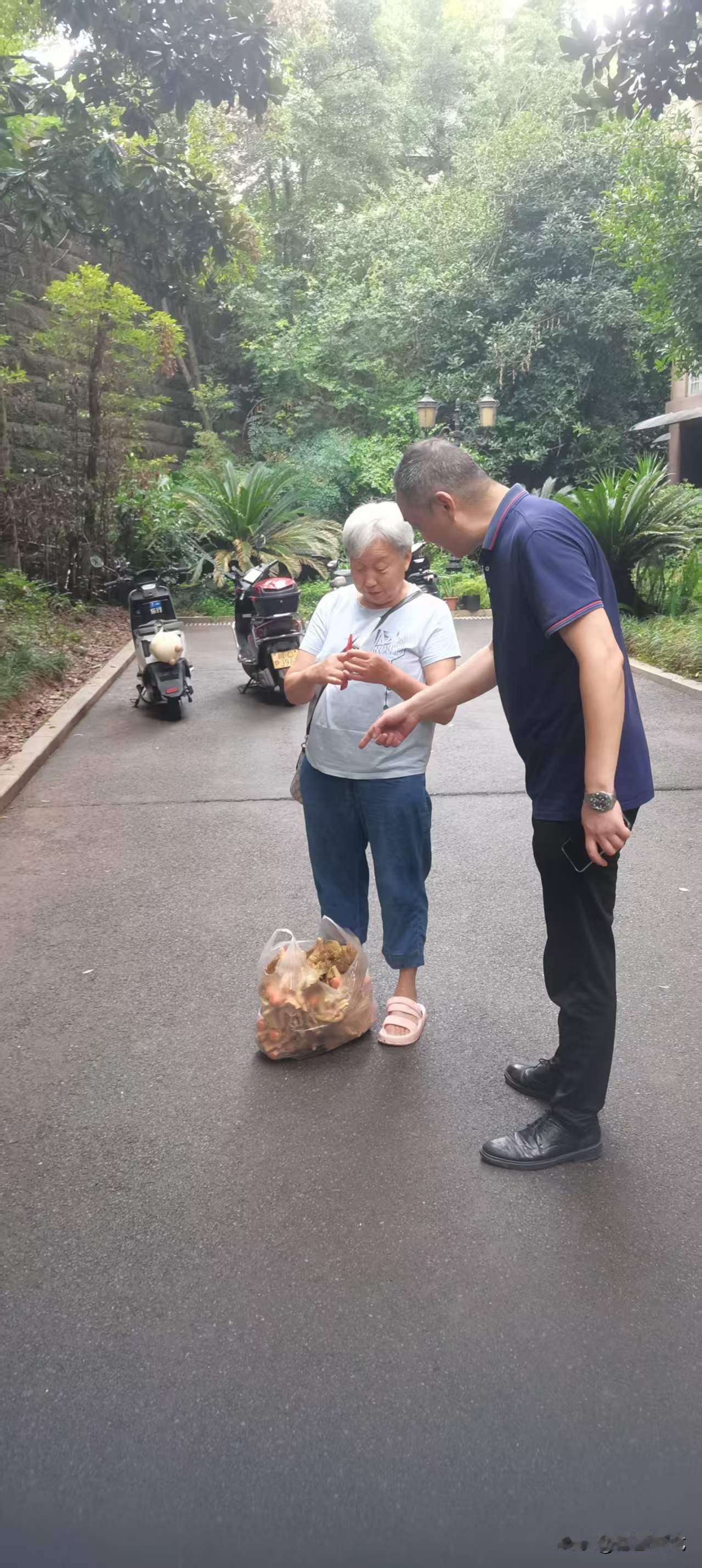 老太太信偏方，掰小区的铁树花，被业主举报，物业经理及时加以劝导和制止，只可惜铁树