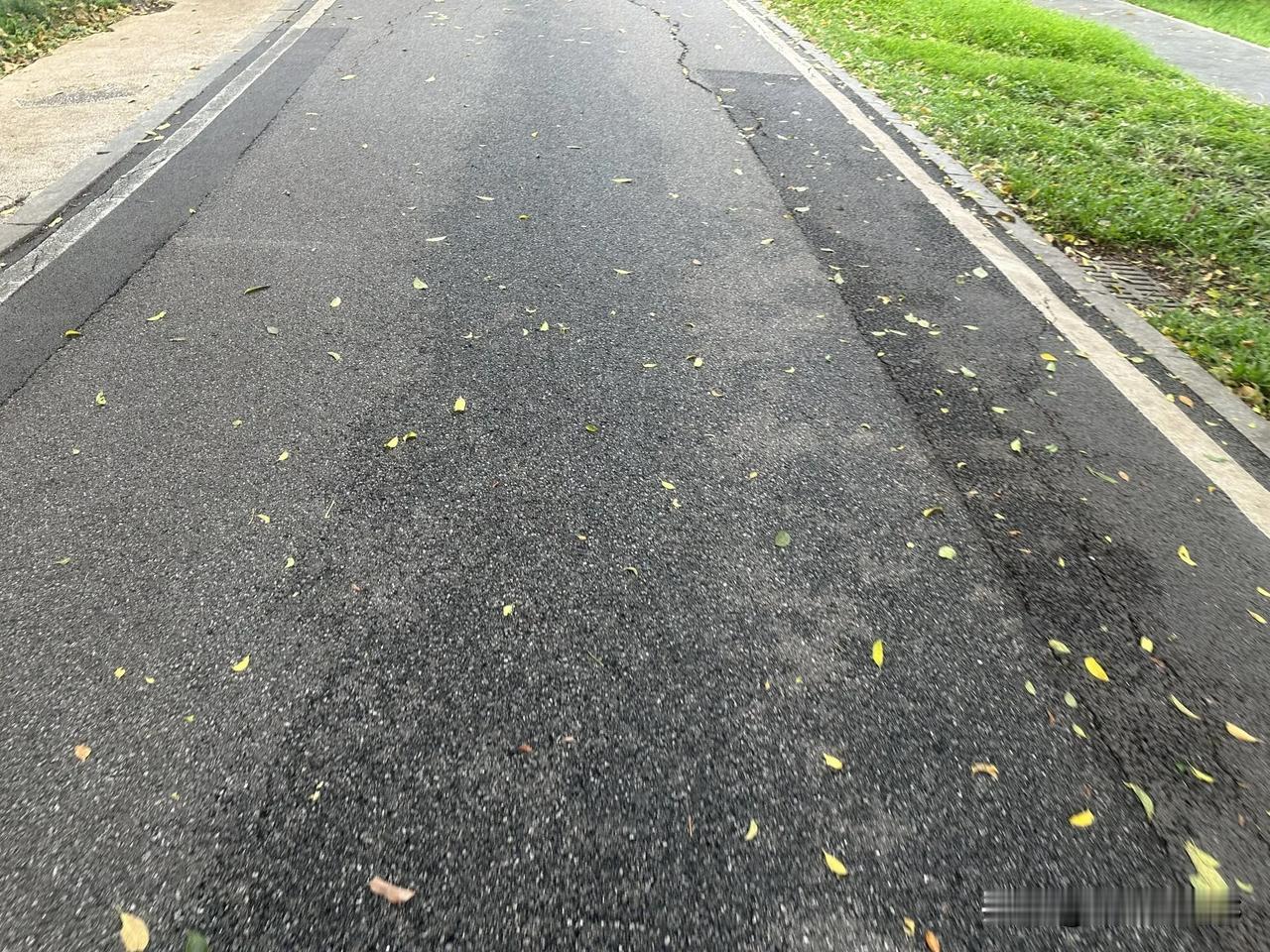 这条路没有红绿灯，也没有打卡点，只需要一步一步往前走。
就像生活，不用时刻追求快