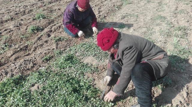一个中学同学在微信跟我说了半天，说他爸一个人在老家，被一个40岁的人骂了，问我能