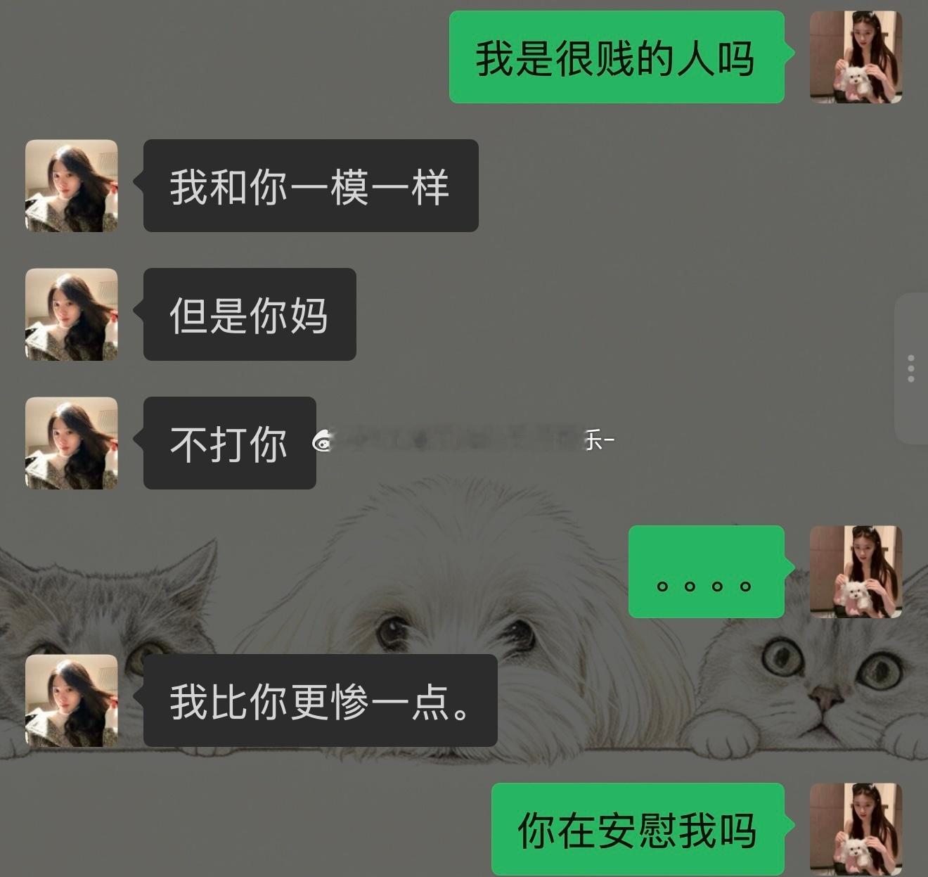 谢谢闺蜜的安慰 特别有用 ​​​