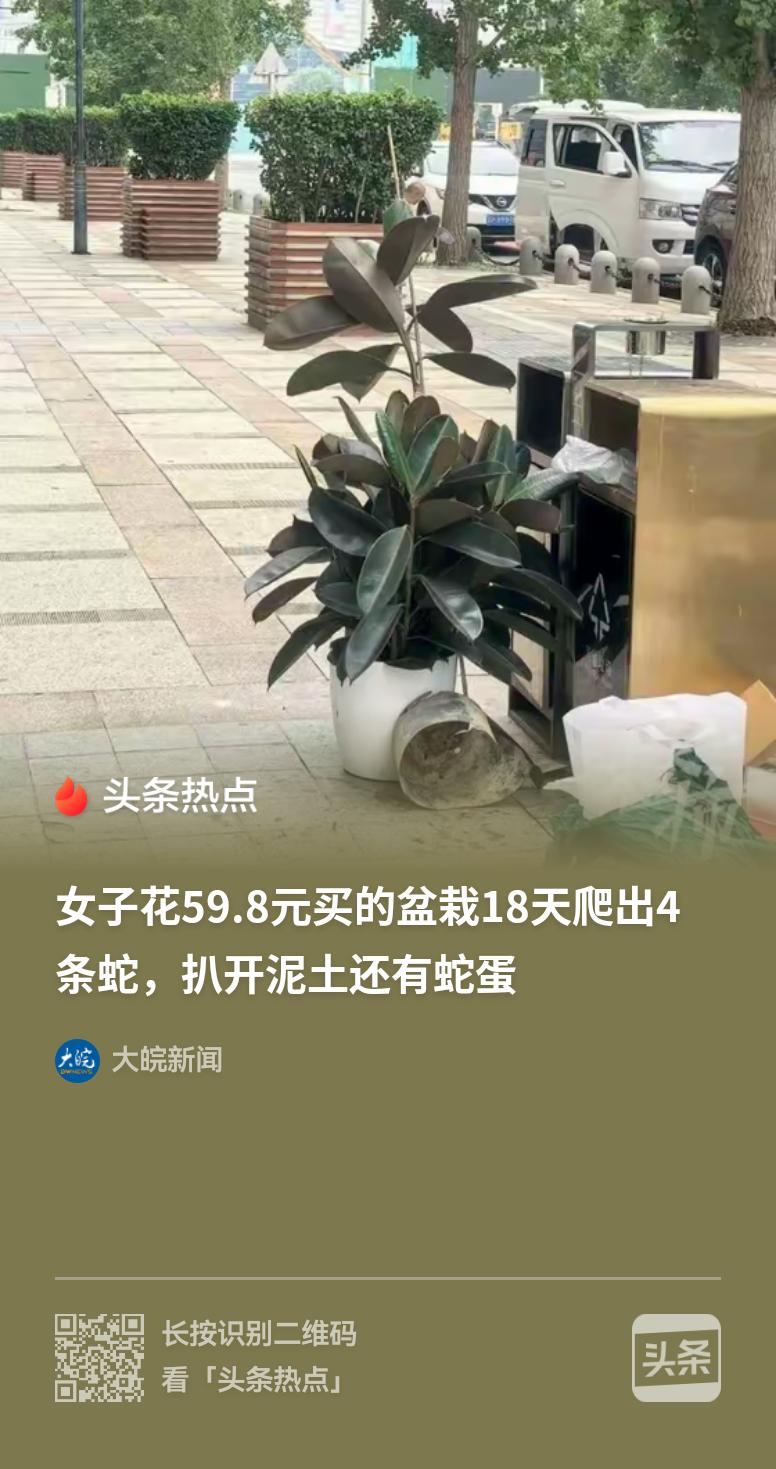 吓死人，花盆里钻出四条蛇！买一株植物带来了一家子。
    看到这个新闻，心里都