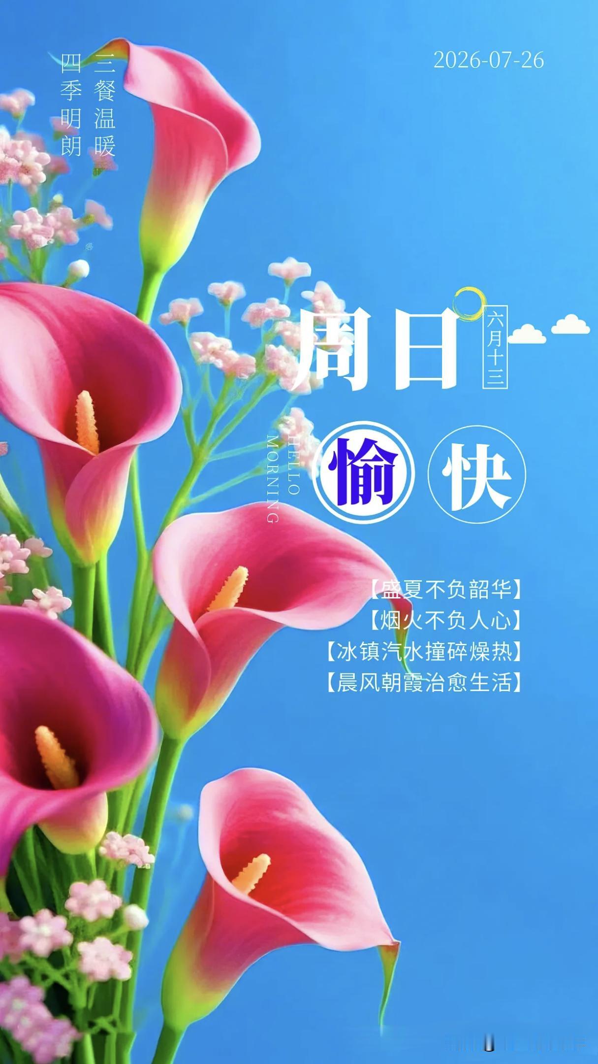 周日是一周温柔的缓冲带，承接过往，预备新程。褪去一周的疲惫，好好安顿生活，一顿家