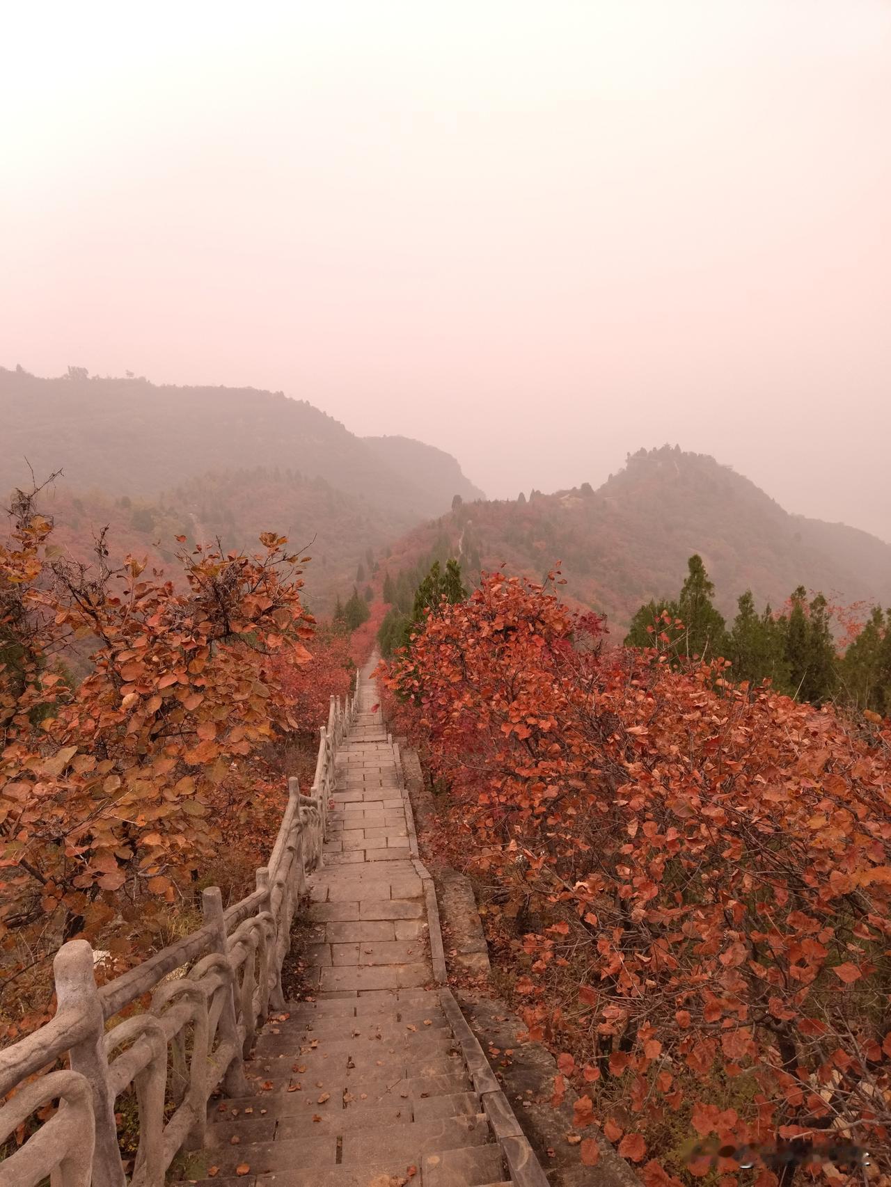 老公是个同性恋男男同性恋 什么是幸福的人生 
 
五十又三，我和老陈的日子过成了