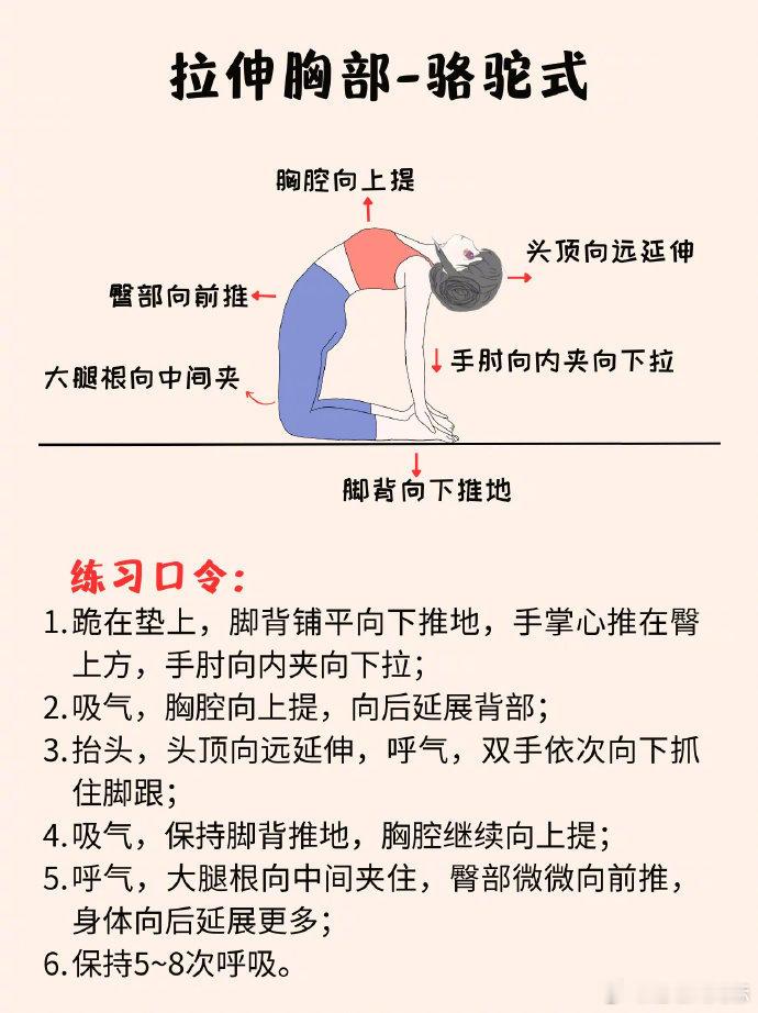 拉伸，每天来做一遍！ ​​​