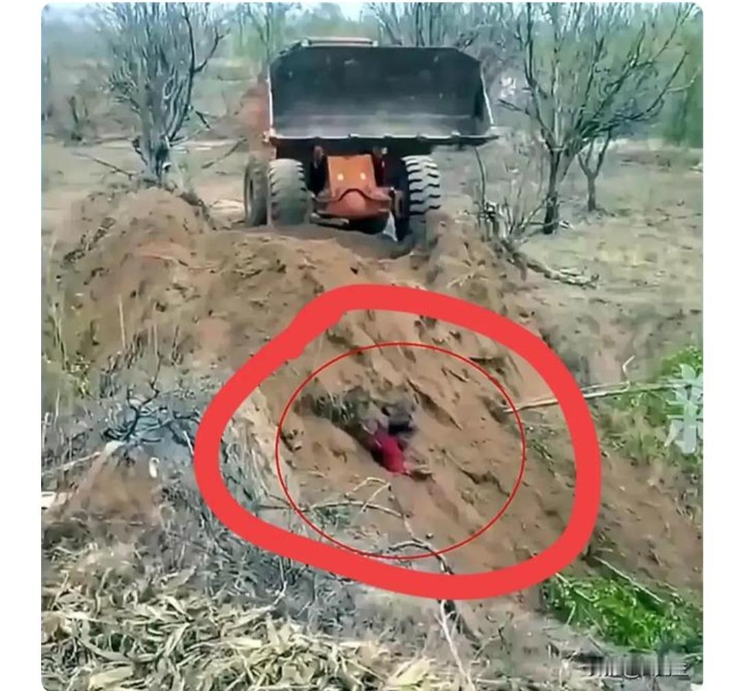 原村支书驾铲车推土掩埋村民，既涉嫌寻衅滋事犯罪，还涉嫌故意杀人（未遂）罪，应数罪