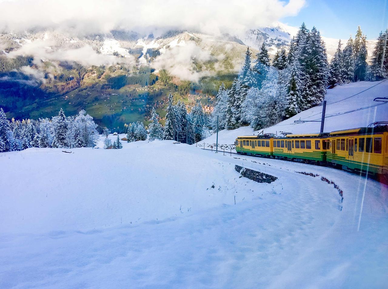 快来看看我新换的主页背景吧