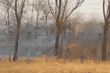 2026年3月17日11时34分，吉林市哈达湾站派出所接警，长珲城际线护网附近荒