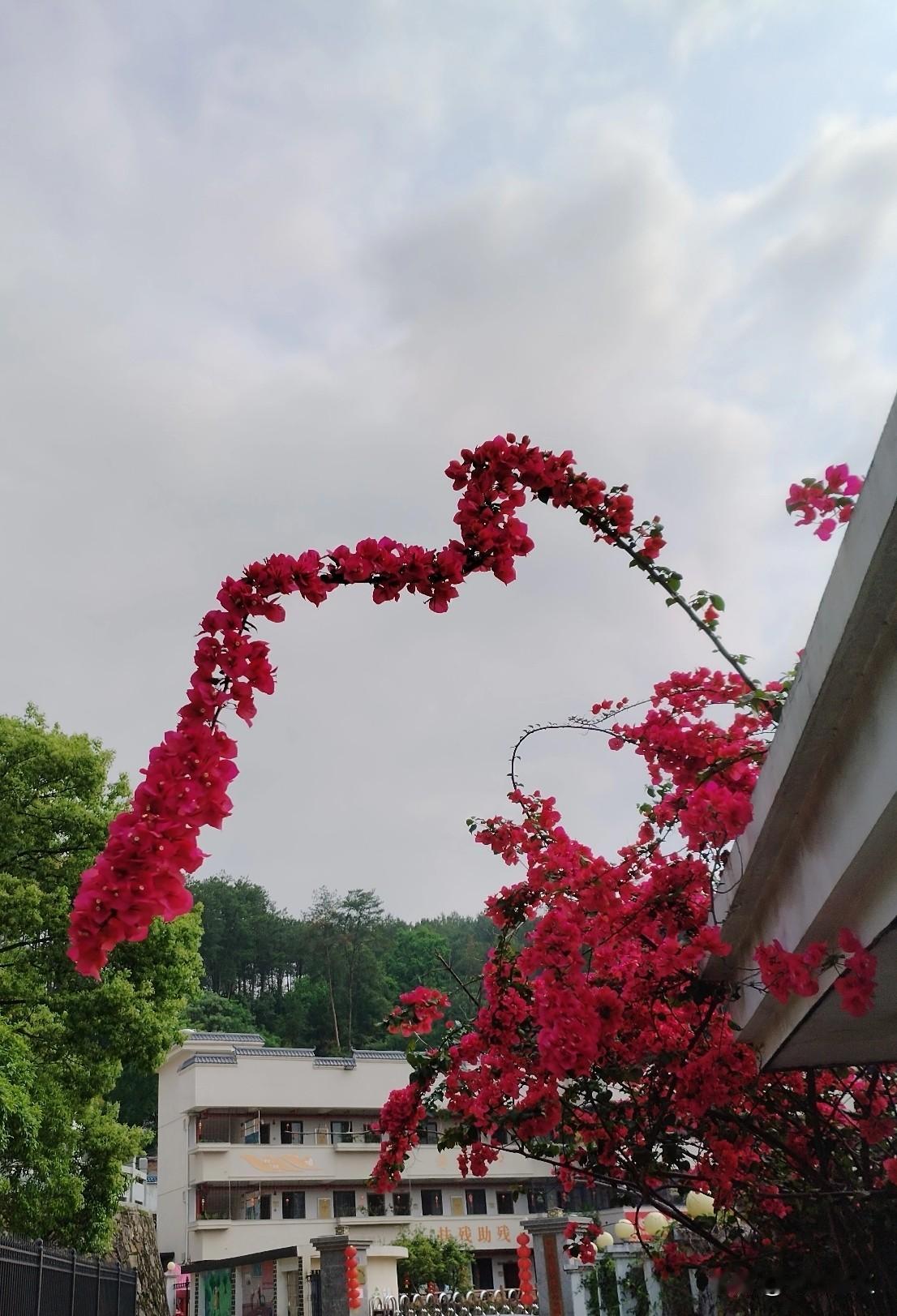 上世纪八十年代，初中毕业生报考小中专，确实都是各校最优秀的学生去报考。对国家的发