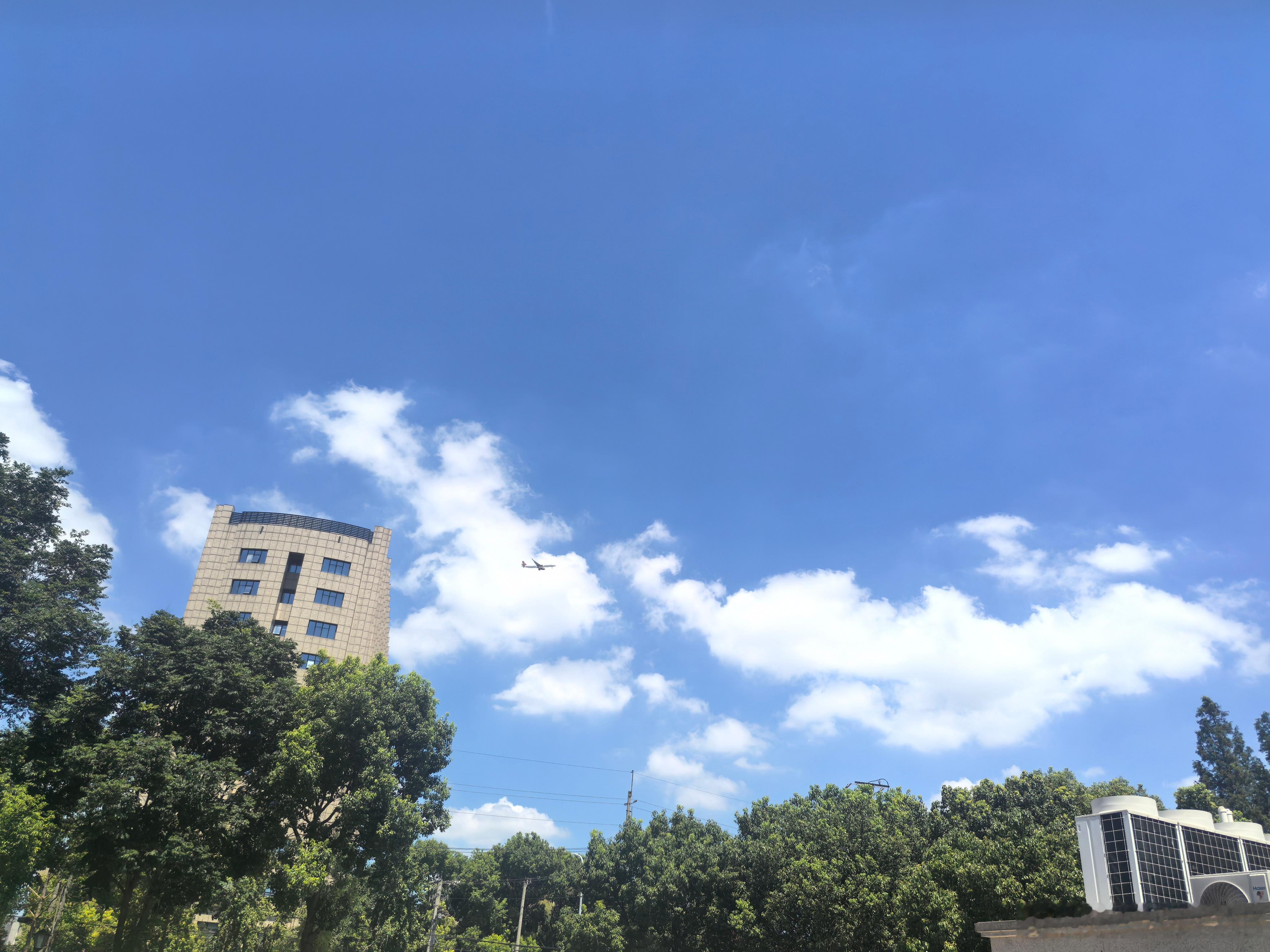 当你周边没有人能吸引你时，你就知道你该往上走了。 上海