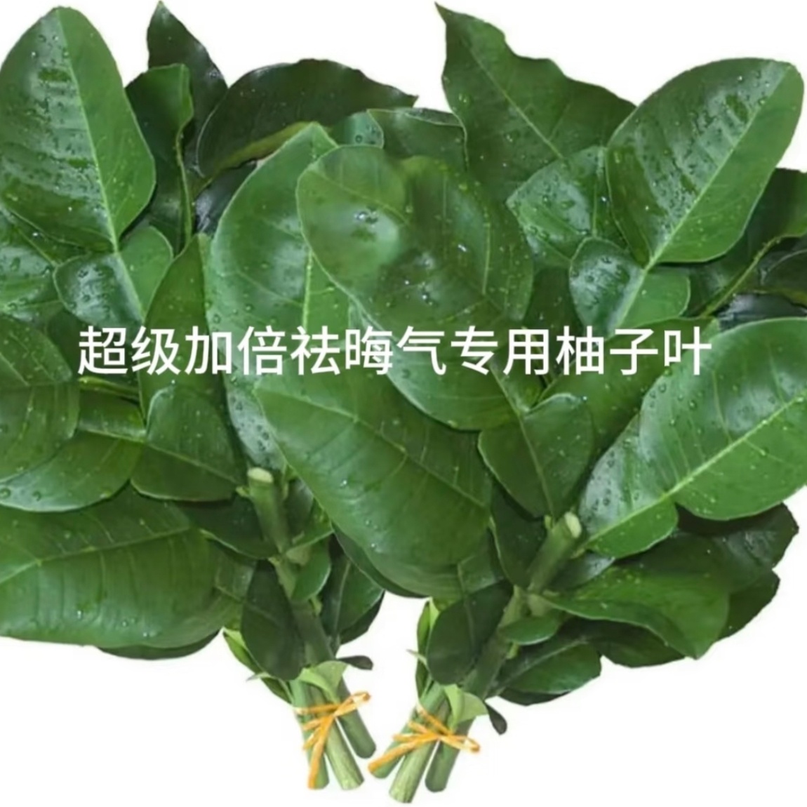 尚公主拉黑cp粉一下又飞升上来了，真是“有心了” 