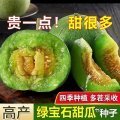 《标题3:四季鲜蔬随手种,高发芽率种子让田园触手可及》标题3:四季鲜蔬随手种,高