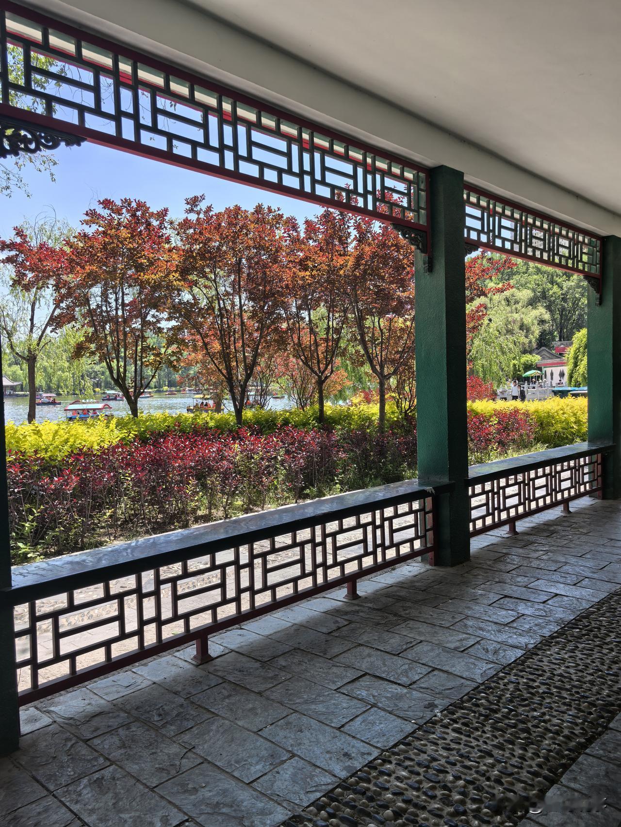 今天，西宁这天气不是一般的热！

进入大暑，西宁这天气，确实热得通透。今天城北1