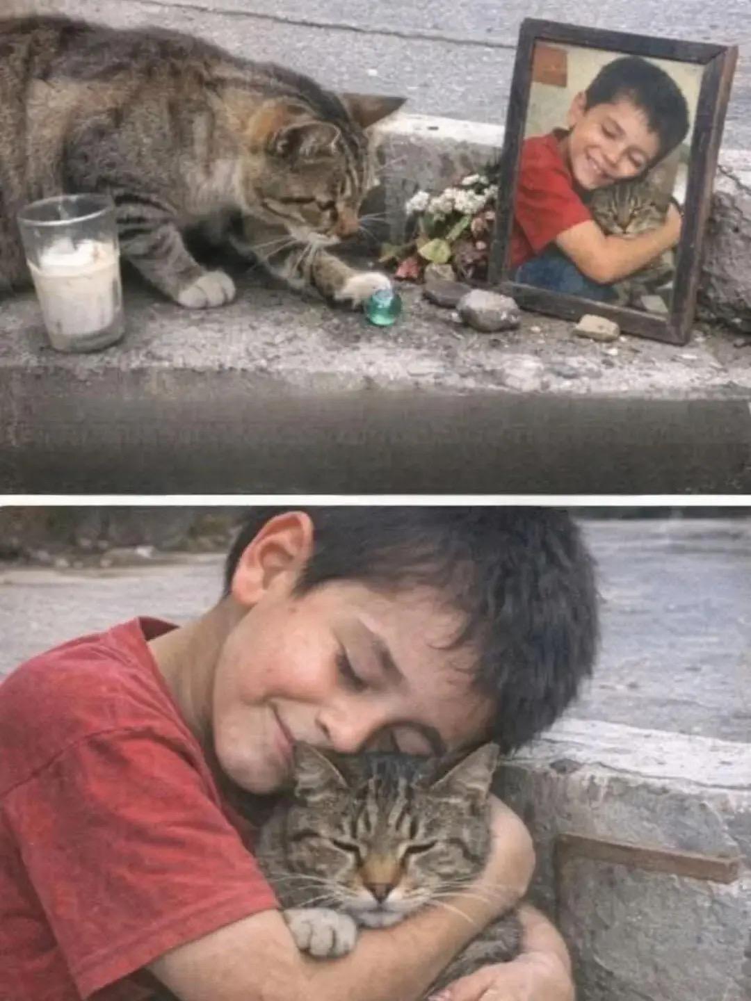 墨西哥小男孩拉洛和狸花猫米奇。是整条街最分不开的搭档。 孩子总蹲在路边...
