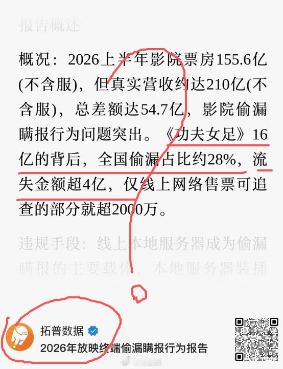 拓普数据报告称，《功夫女足》票房流失金额超4亿？偷漏占比28%？我感觉这机构数据