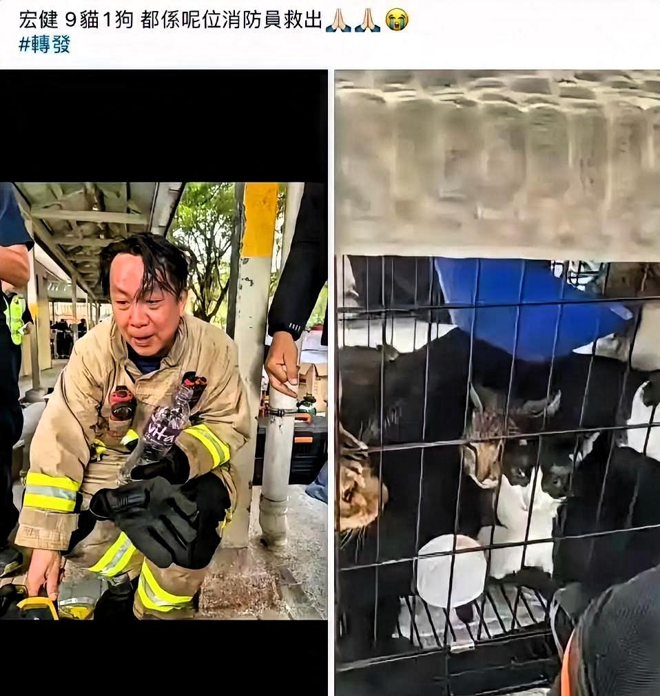 香港这次被更多人记住了。
不是因为火烧得有多大，
是消防员在救人之外，还顺手把那
