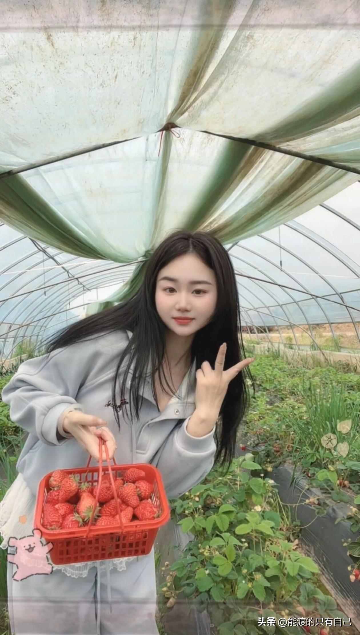 今日份快乐，摘草莓的乐趣