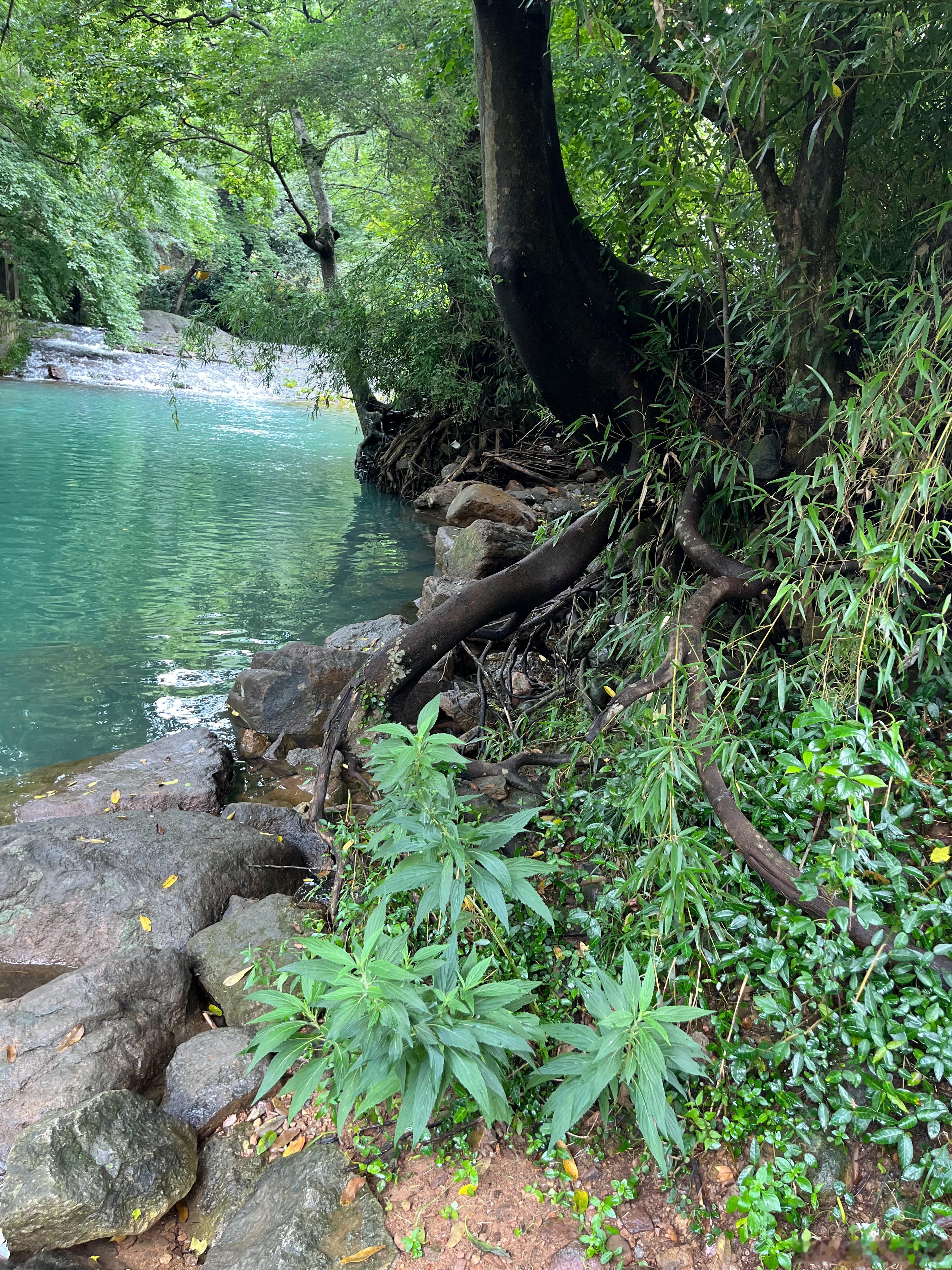 我特别恨勘景 每次外景我都焦虑得特别难受 