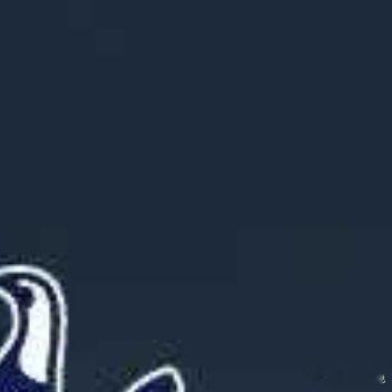 北京时间1月4日英格兰足球顶级联赛联赛第20轮，托特纳姆热刺主场对阵桑德兰。 