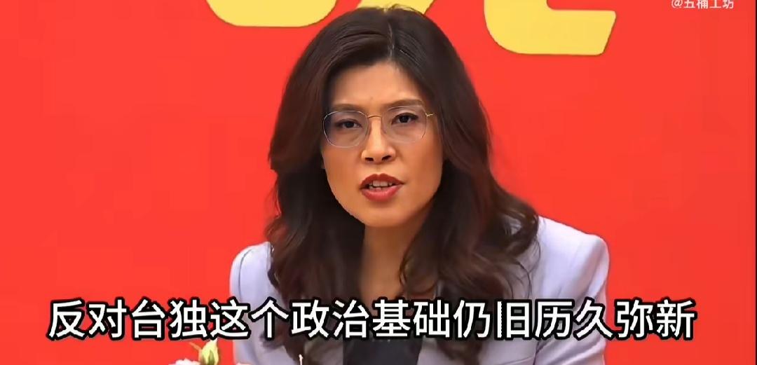 郑丽文南京祝酒词坚定又大胆，“只要坚持九二共识，反对台独，两岸就可以交流对话，反