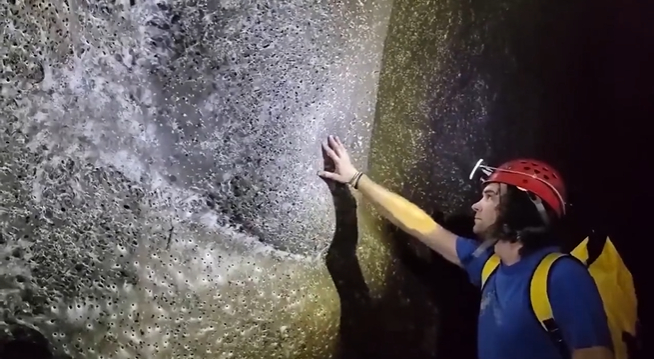 每天一条冷知识 在希腊和阿尔巴尼亚两国交界处的一个硫磺洞穴内，研究团队发现了一个