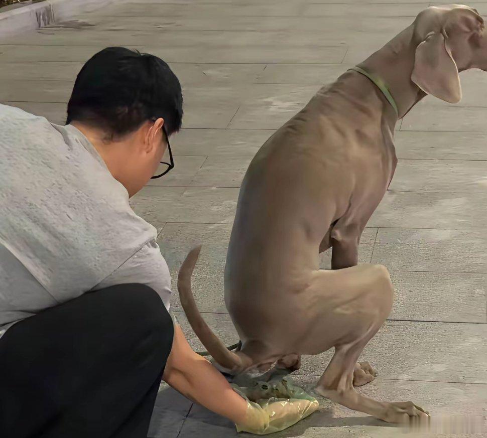 扪心自问，如果是你亲生小孩，会真的用手去接吗？有几个能做到？       今天在