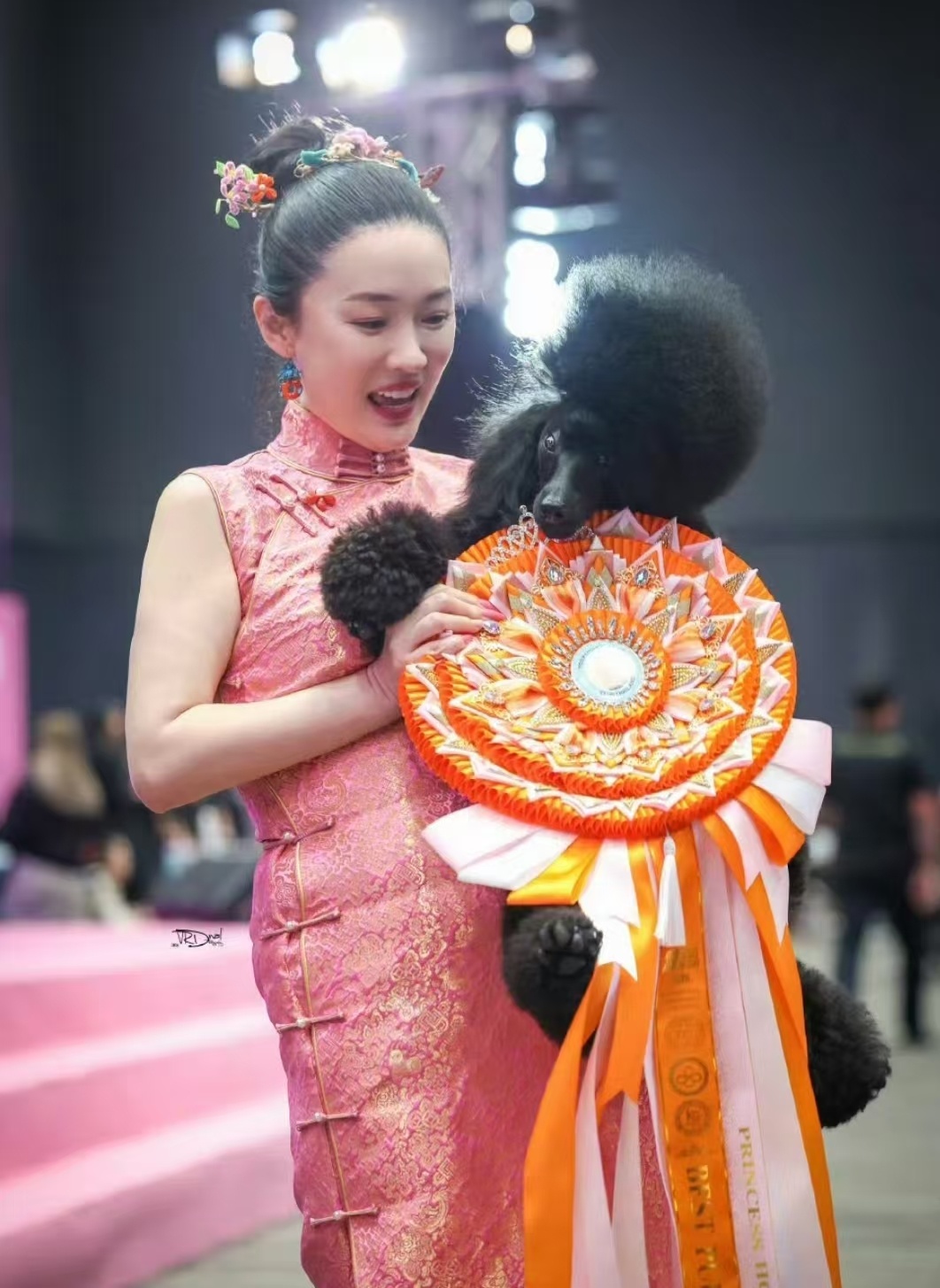 霍思燕谈赛场穿旗袍的原因霍思燕携爱犬参赛一袭旗袍格外惊艳。直播她分享穿搭初衷，一