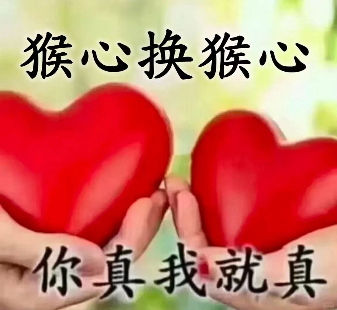 1KB小脑分不清真假美猴王电影西游记真假美猴王新海报 俩猴背影看着毛色不一样，护