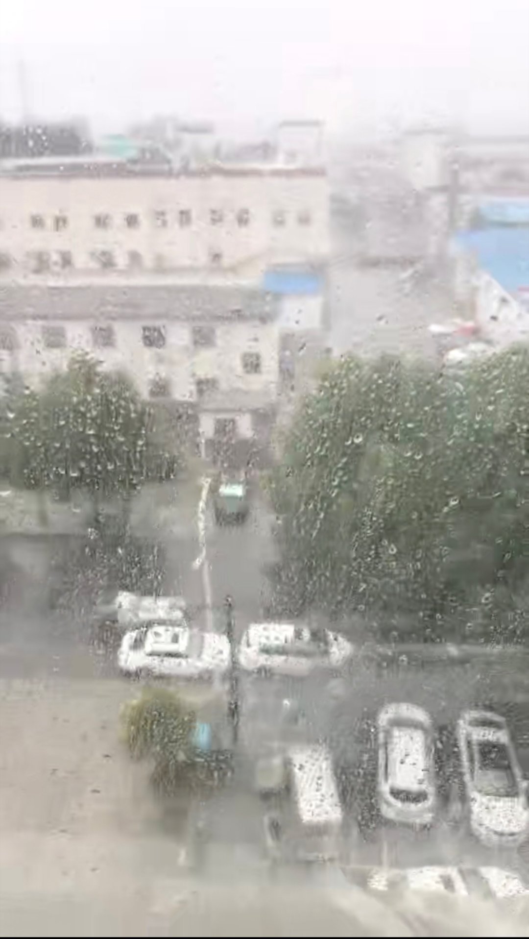 热了这么久，好不容易下了点雨，现在又出太阳了……