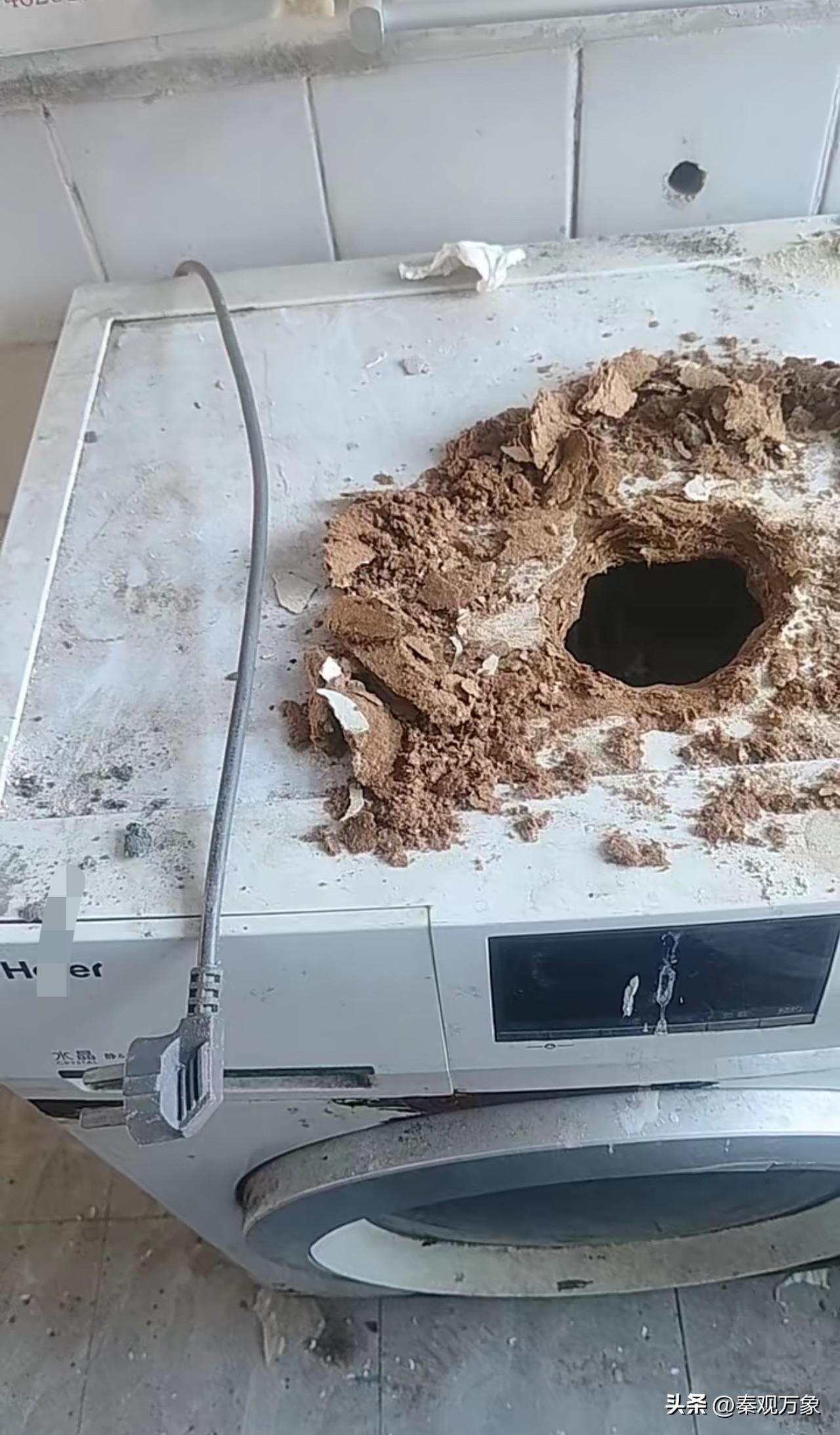 之前转发了一个关于洗衣机的视频，还被某品牌投诉下架了，投诉理由是，“原作者已经删