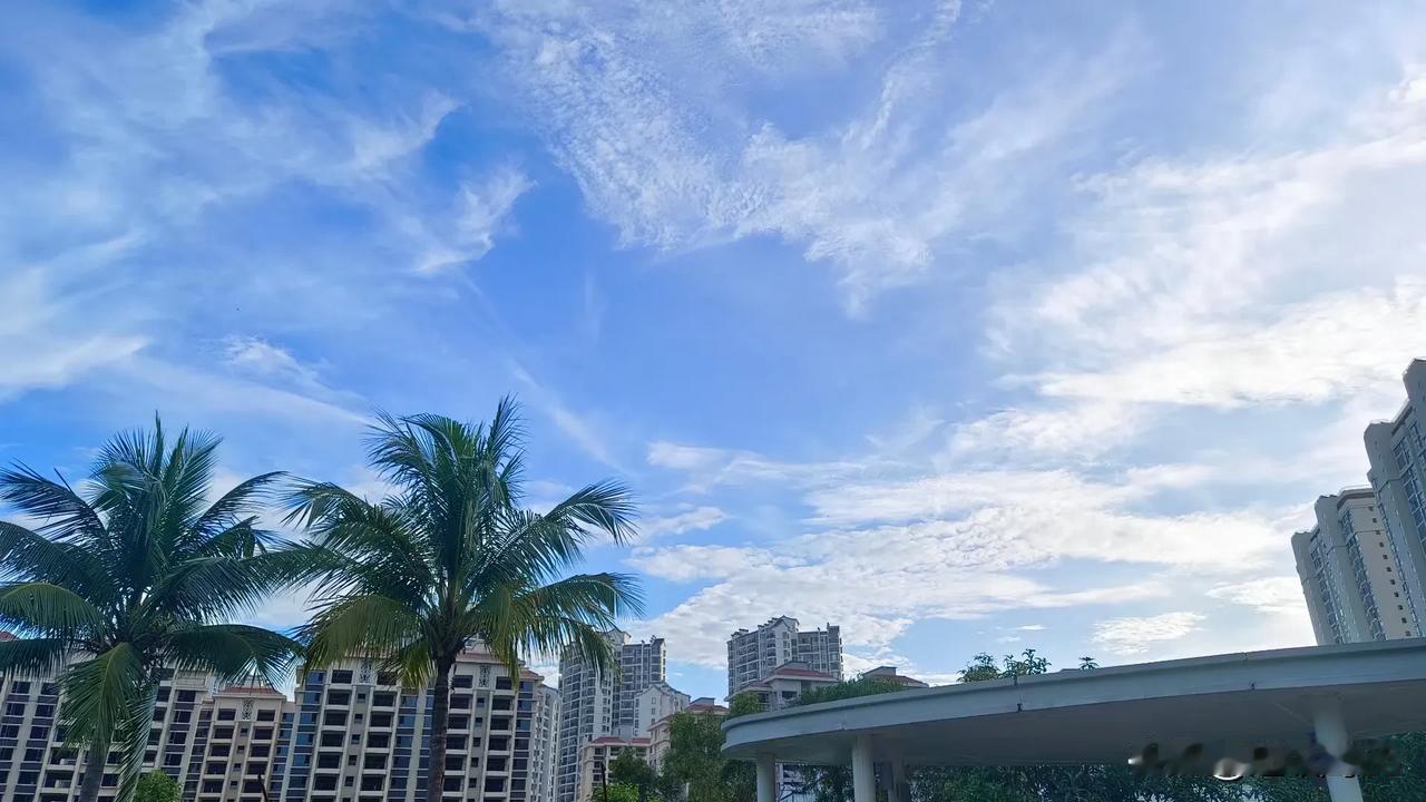 #一张图分享秋日风光#今天早上起床，打开窗户，外面凉风嗖嗖，应该是受到台风的影响